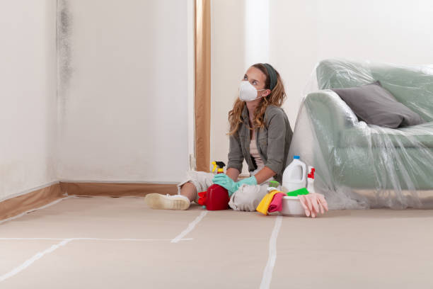 Reliable Commercial Mold Remediation contractor in Port Jefferson Station, NY by WQB Mold Removal